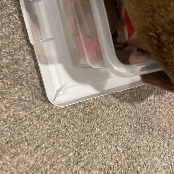 Hedgehog Puppet Hand Puppet Plush Turns Inside Out To Ball Realistic - Picture 11 of 11